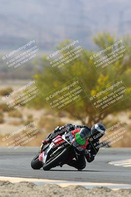 media/Apr-10-2022-SoCal Trackdays (Sun) [[f104b12566]]/Turn 5 Tree of Life (1040am)/